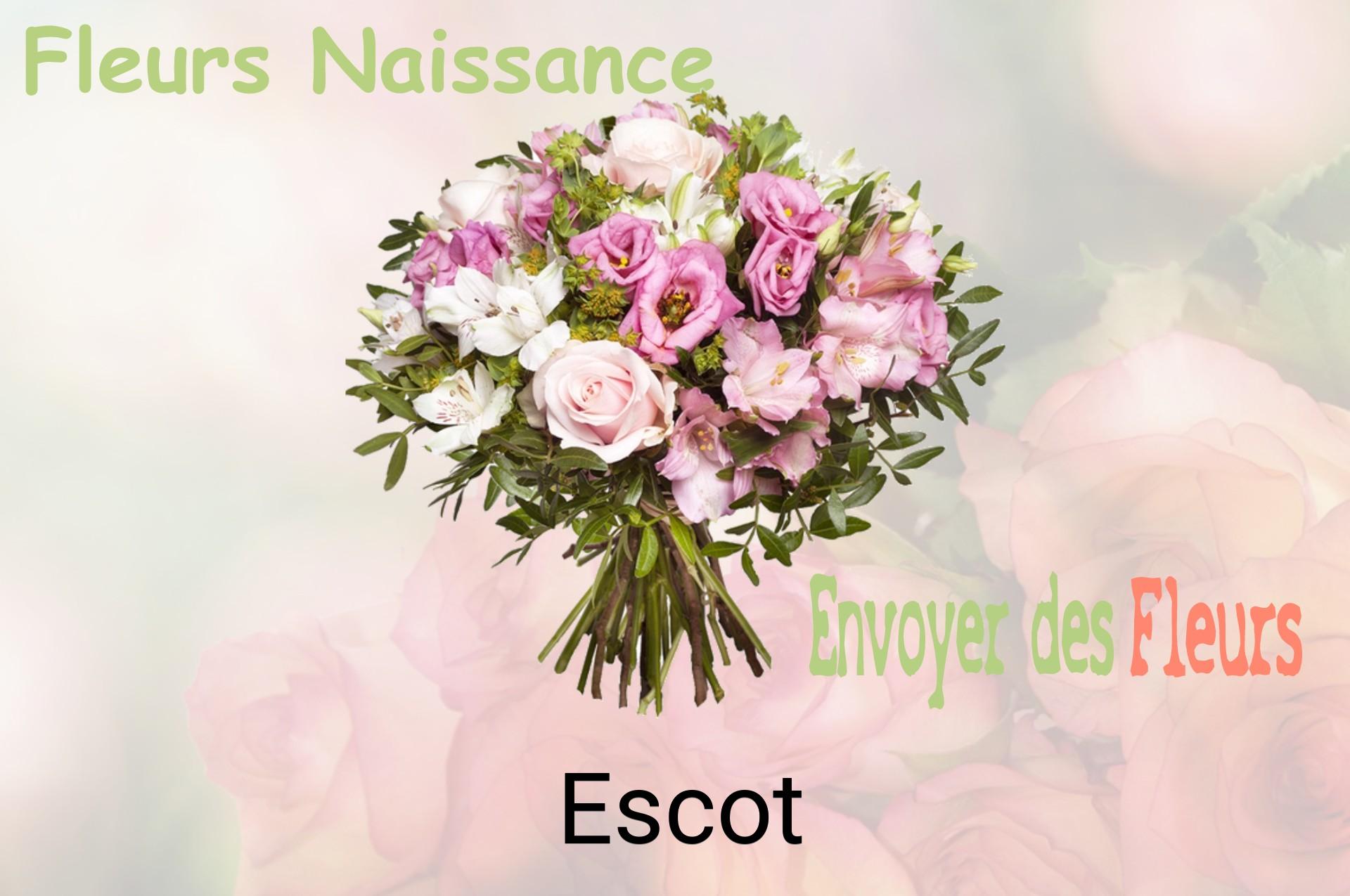 Bouquet de fleurs de naissance livré à Escot